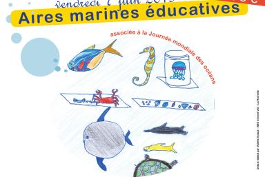 Journée des aires marines éducatives du 7 juin 2019