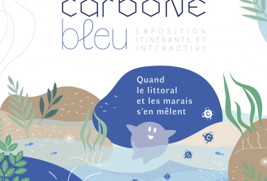 Carbone bleu - Exposition itinérante interactive