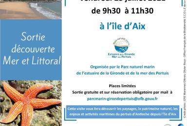 Sortie découverte du Parc naturel marin depuis l'île d'Aix