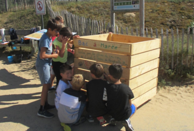 Mise en oeuvre d'un bac à marée par les élèves de l'AME de Longeville-sur-mer