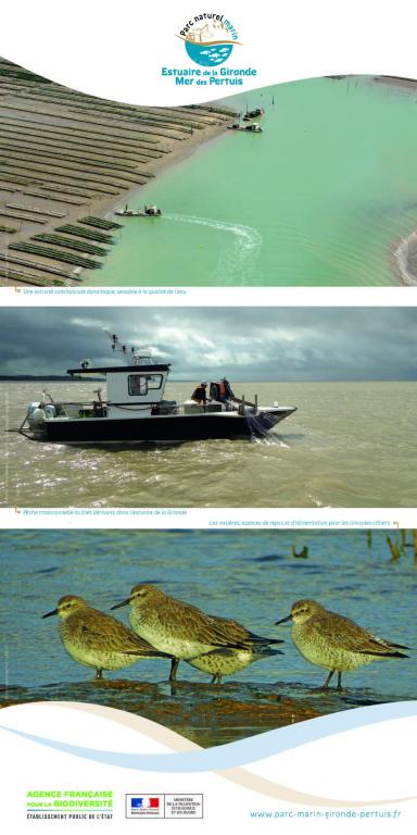 Patrimoine naturel et activités maritimes dans le Parc naturel marin