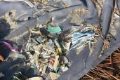 Tri et identification des macro-déchets récupérés sur le site de Gatseau (Ile d’Oléron)