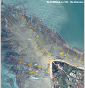 Image satellite pour cartographier les macroalgues du Parc, pointe des Baleines à l'île de Ré
