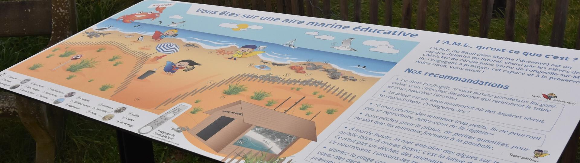 Panneau de l'aire marine éducative de Longeville-sur-mer réalisé par les élèves de l'école Jules Verne